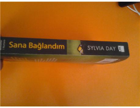 Sana Bağlandım - Sylvia Day +18