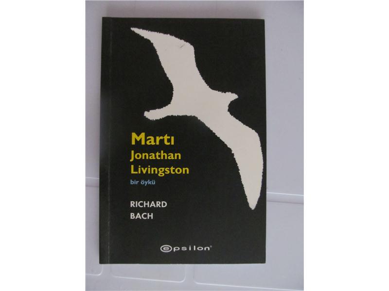 Livingston певец. Чайка Джонатан Ливингстон тату. Jonathan Livingston певец. 4 Часть Джонатан Ливингстон. Джонатан Кесслер Depeche.