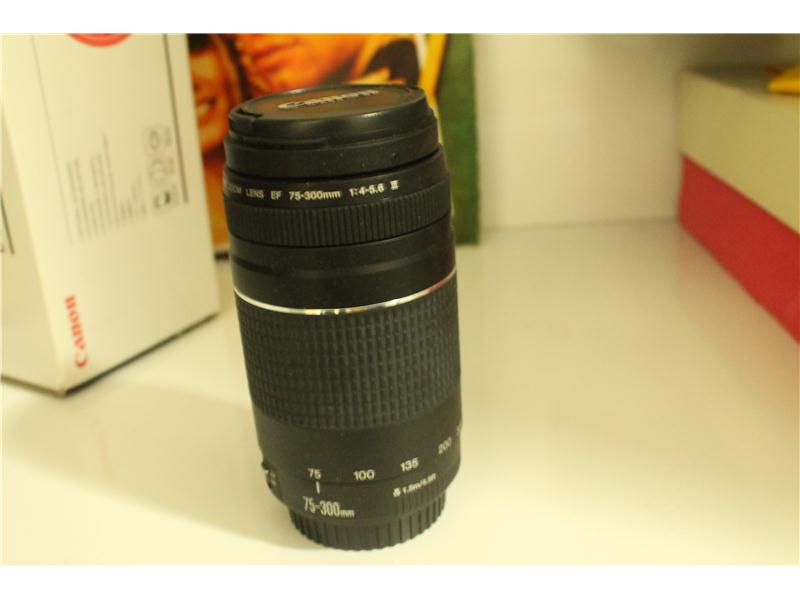 CANON 75-300 LENS