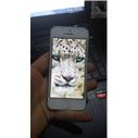 iPHONE 5 16 GB BEYAZ BU FİYATA KAÇMAZ