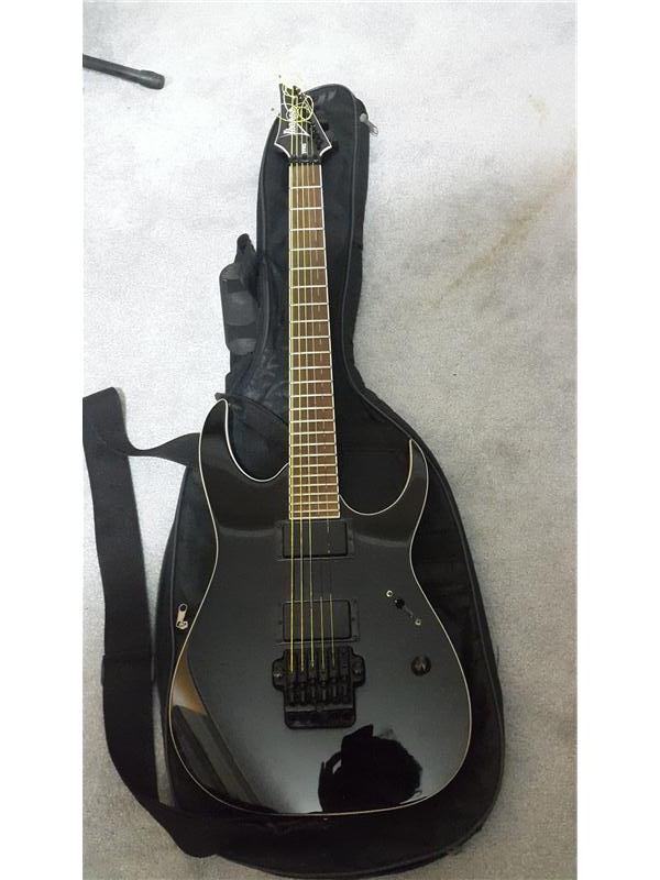 Ibanez Mtm2 Gitar