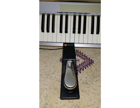 M Audio Keystation 61ES+Sustain Pedal(pedal hediye)