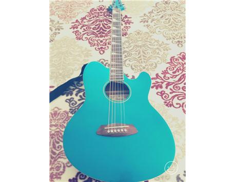 ibanez elektro akustik gitar 