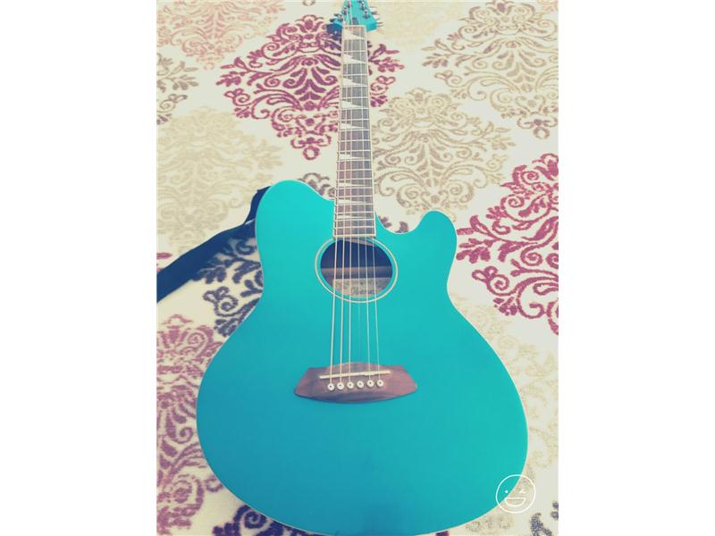 ibanez elektro akustik gitar 