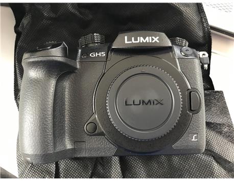 Panasonic Lumix G DC-GH5L 20.3 MP (Set Leica DG Vario 12-60mm f / 2.8-4.0 Lens)