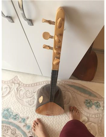 gitar ve zebrana bağlama