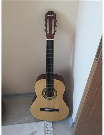 gitar ve zebrana bağlama