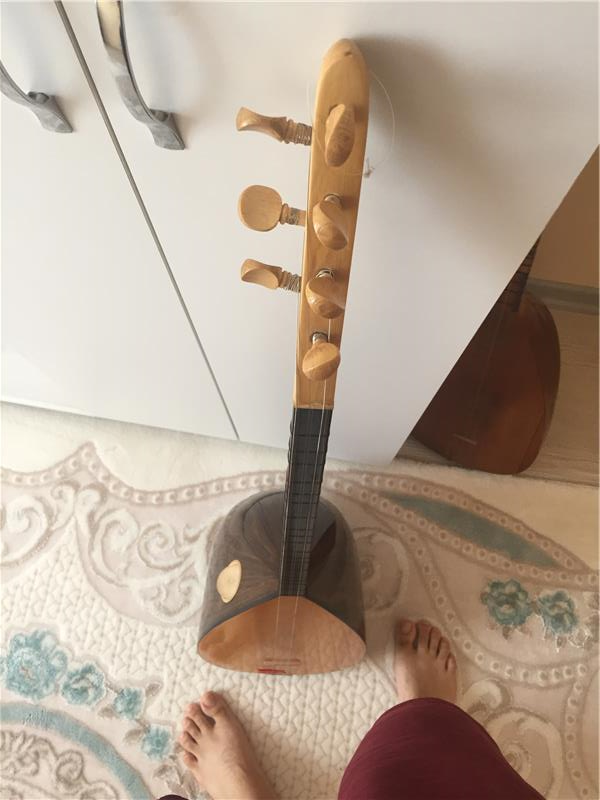 gitar ve zebrana bağlama