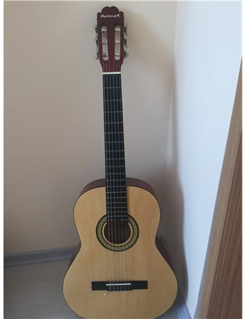 gitar ve zebrana bağlama