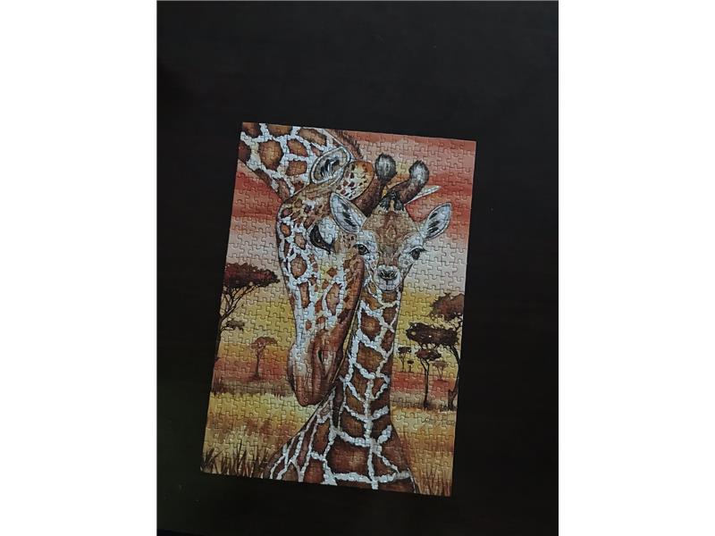 Anatolian Puzzle 500 Parça Zürafa Giraffe