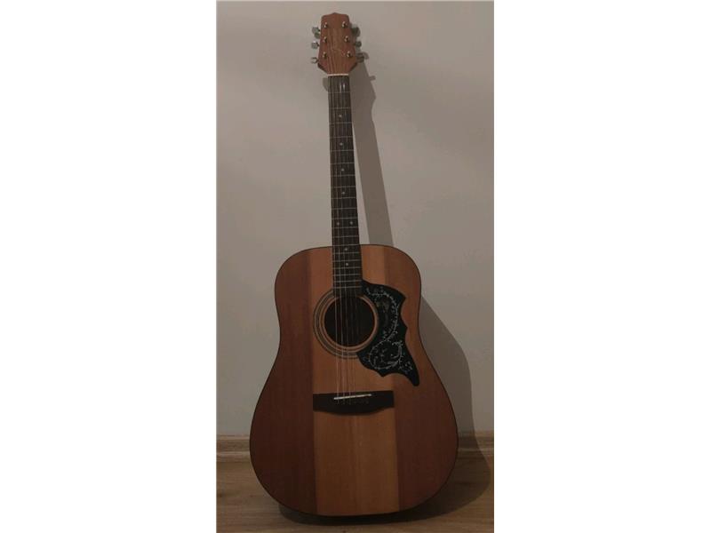 Takamine profesyonel akustik gitar 