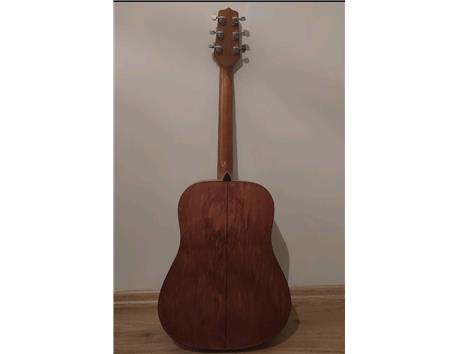 Takamine profesyonel akustik gitar 