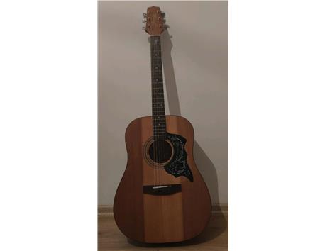 Takamine profesyonel akustik gitar 