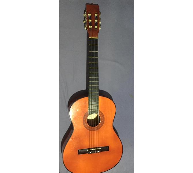 takas olur(elektro gitar)