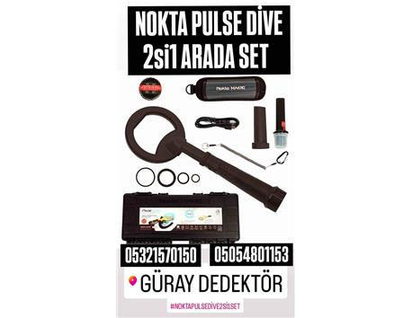 NOKTA PULSE DİVE 2si1 ARADA SET HEM POİNTER HEM SUALTI DEDEKTÖR #güraydedektör #pulsedive